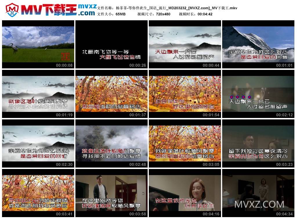 杨菲菲-等你伴此生_国语_流行_MD203232